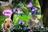ti amo...pet luv
