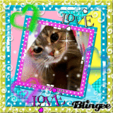 Love cat