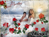 good morning,my friends
