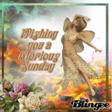 For all my dear friends in blinggeland