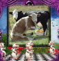 vacas lokas