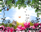 spring
