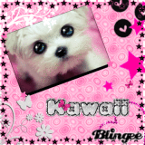Kawaii & cute !!!!