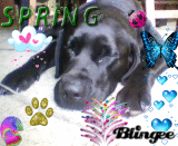 SPRING TIME!