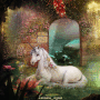Magical Garden