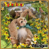 ✿✿ Spring ✿✿