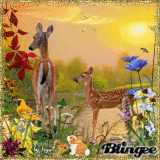 Spring Sunrise