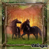 Horses in the woods