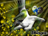 Green Bird