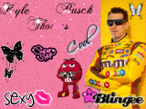 kyle busch