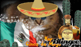 Happy Cinco de Mayo