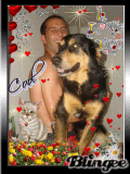amour de chien