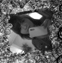 mileyfanNR.1-97 mileyfanNR.1-97