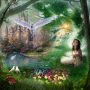 Wonderland
