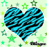 Zebra Heart With Starz