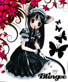 chaton3103 chaton3103