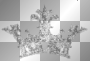 Silver Crown