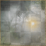 Nature Background