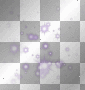 Stars purple 