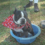 Cooling Off Cooling Off
