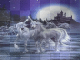 unicorns