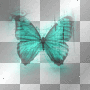 Big_Butterfly_With_Text~Teal