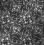 Animated Lace