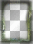 Green arch frame..©Ƹ̵̡Ӝ̵̨̄Ʒ...hïρρÿсhïсќ33 