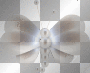 SwirlsPearls Butterfly