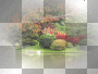 fond image paysage transparent -c