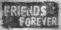 friends 4 ver