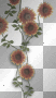 border frame flowers autumn ©dK border frame flowers autumn ©dK