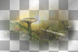 amon // deco garden