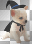 halloween puppy
