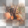 Autumn background pumpkins Autumn background pumpkins