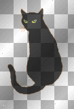 Black Cat