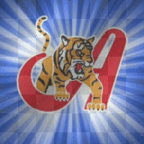 Tigres de Aragua