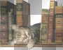 chat deco livre transparent -c