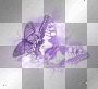 Purple butterflies.©Ƹ̵̡Ӝ̵̨̄Ʒ...hïρρÿсhïсќ33 Purple butterflies.©Ƹ̵̡Ӝ̵̨̄Ʒ...hïρρÿсhïсќ33