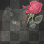 chat à la rose chat à la rose