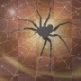 Background glitter Halloween spider Background glitter Halloween spider