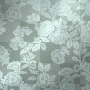 Background Background