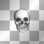 SKULL: By 4r13s