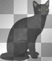 chat noir halloween gothic -c