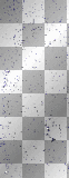 blue black glitter