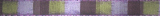 green purple pink stripes border