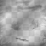 Winter Landscape