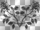Black Grey gray White Silver roses Rose Floral Flower flowers Png Transparent deco frame background nenaio  goth gothic 