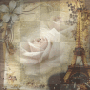 Paris-The-City-Of-Love-BG~Natural