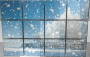 Window •